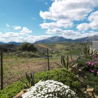 Finca Rebuild Project, Alora, Garden Finca Rebuild Project, Alora, Garden