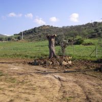 Finca-Alora-Rebuild-Garden Finca Rebuild Project, Alora, Garden Before