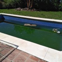 San Pedro Project, Pool, Before San Pedro, Refurbish Project, Pool